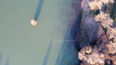 Gün batımından hemen önce güzel bir sonbahar gününde yeşil-mavi nehrin hava manzarası.