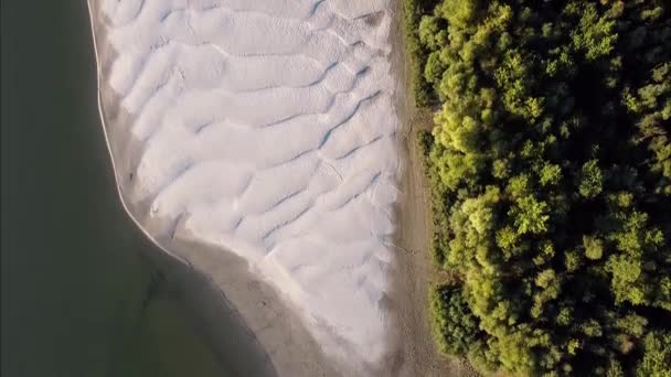 Ένα Παραδεισένιο Νησί Στο Ποτάμι Μια Όμορφη Ηλιόλουστη Μέρα Αεροφωτογραφία — Αρχείο Βίντεο