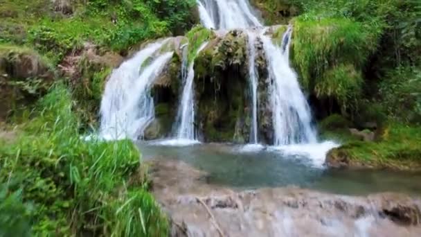 Uma Pequena Cachoeira Natureza Com Água Nascente Saudável — Vídeo de Stock