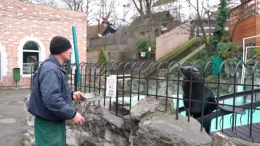 Hayvan bakıcısı köpeği besliyor.