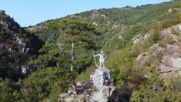 戦闘の英雄は大きな山の鬱蒼とした森の真ん中に彼のライフルで石の上に立っている — ストック動画