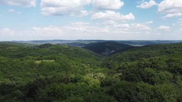 Letecký Pohled Kopce Les Začátku Jara Krásné Zelené Flóry — Stock video
