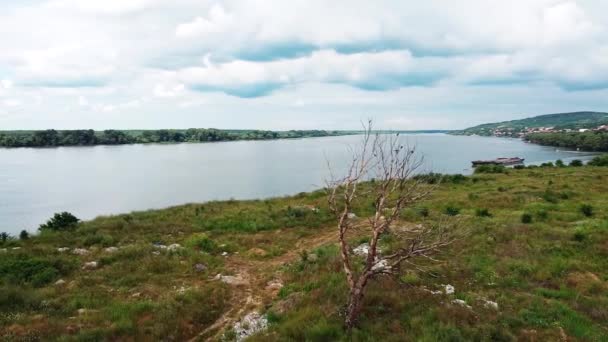 Una Hermosa Vista Árbol Con Aves Junto Río Una Isla — Vídeos de Stock