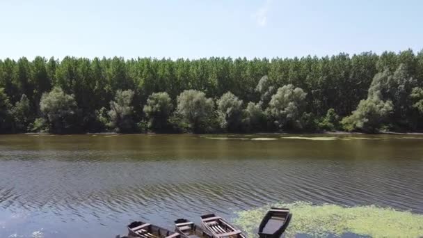 Río Una Reserva Nacional Con Una Gran Cantidad Ecológico — Vídeos de Stock