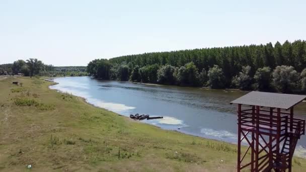 Ποταμός Εθνικό Απόθεμα Πολλές Οικολογικές — Αρχείο Βίντεο