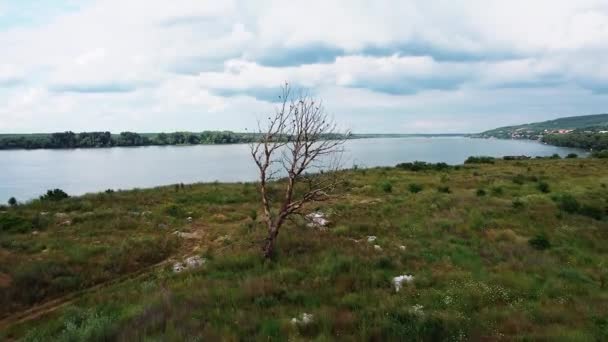 Krásný Výhled Strom Ptáky Řeky Ostrově Úžasnými Mraky — Stock video