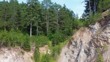 Koyu yeşil göl 17 kozalaklı ağaçlarla çevrili.