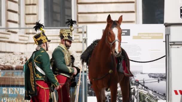 两个穿着传统制服的中世纪士兵碰了碰一匹马 — 图库视频影像