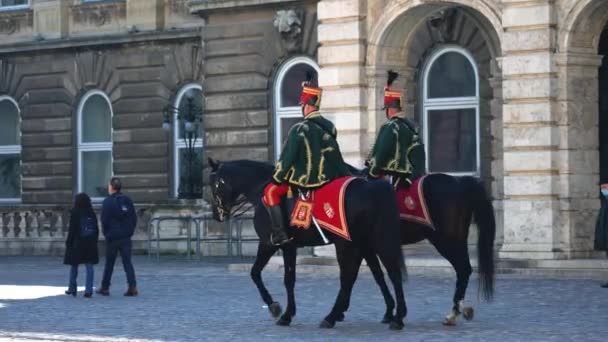 Dois Cavaleiros Medievais Montam Cavalos Uniforme Tradicional — Vídeo de Stock