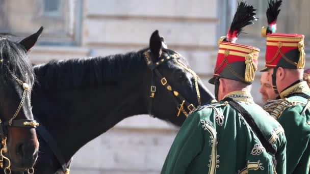 伝統的な制服を着た馬2頭と兵士2人 — ストック動画