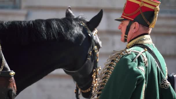 Een Soldaat Cavalerist Staat Tussen Twee Paarden — Stockvideo