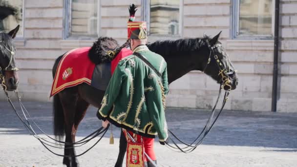 Soldado Cavaleiro Fica Entre Dois Cavalos — Vídeo de Stock