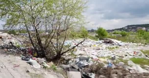 Wild Landfill City Lot Different Garbage — ストック動画