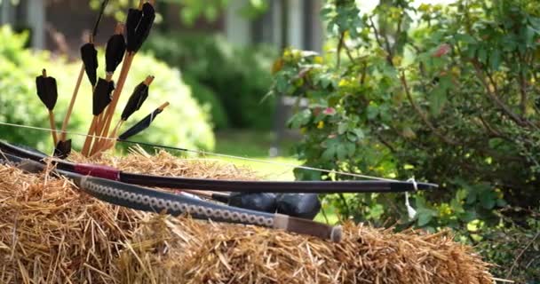 Two Bows Several Shooting Arrows — Vídeo de stock