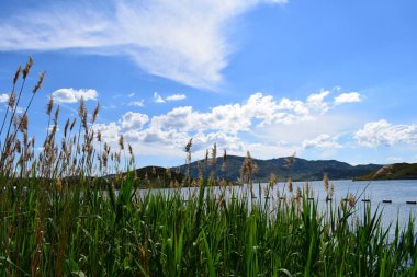 Doğu Kazakistan, Ridder, dağ yamaçları.