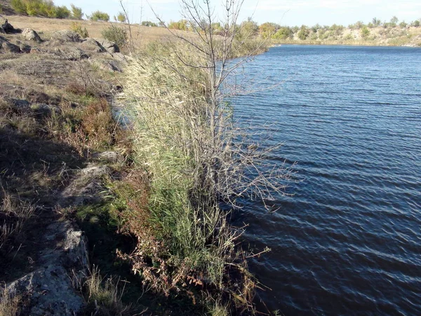 小さな池の青い水面の自然写真は 海岸の堆積物や葦の茂みに囲まれています — ストック写真