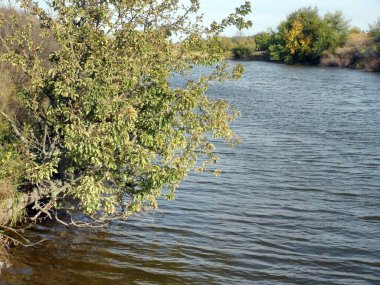 Sularını sonbahar renkleriyle süslenmiş yüksek kıyılar arasında taşıyan bozkır nehrinin manzarası.