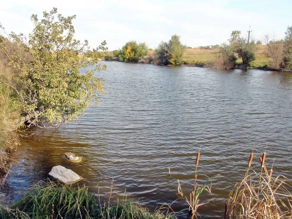 Landscape Steppe River Carries Its Waters High Banks Decorated Autumn — Stock Fotó