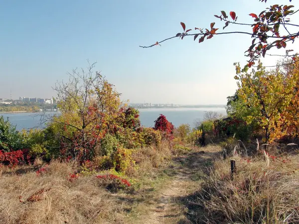 Incredible Beauty Wild Autumn Nature Khortytsya Reserve Surrounded Polluted Industrial — Foto de Stock