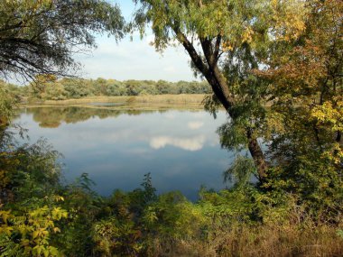 View from the forest to the cloudy sky reflected on the mirror surface of the Khortitsa lakes of the Dnieper floodplains.