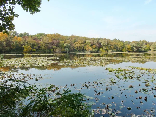 View Forest Cloudy Sky Reflected Mirror Surface Khortitsa Lakes Dnieper — Stockfoto