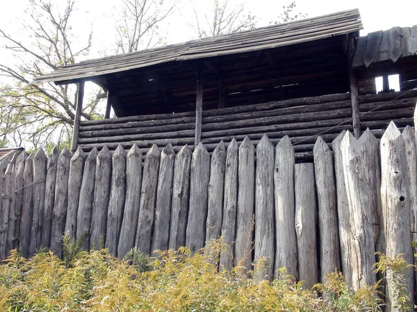 Strong Oak Fence Nettle Bushes Planted Which Reliably Protected Cossack — Fotografia de Stock