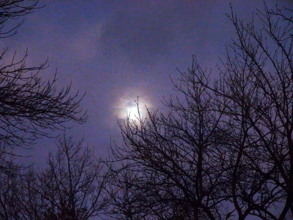 Egy Felülmúlhatatlan Természeti Kép Holdfényről Éjszakai Égbolton Felhőkkel Borítva Khortitsa — Stock Fotó