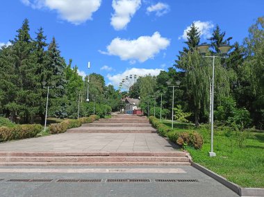 A panorama of a park alley on a sunny day surrounded by tall trees against a blue, barely cloudy sky.