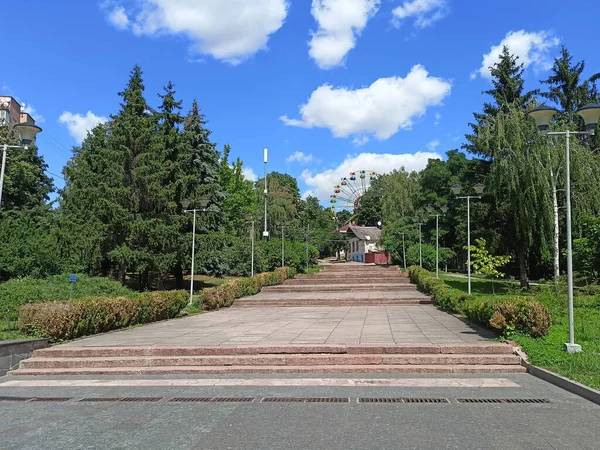 Panorama Park Alley Sunny Day Surrounded Tall Trees Blue Barely — 图库照片