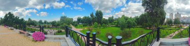 Top view of lush summer park greenery against the background of a blue, barely cloudy morning sky.