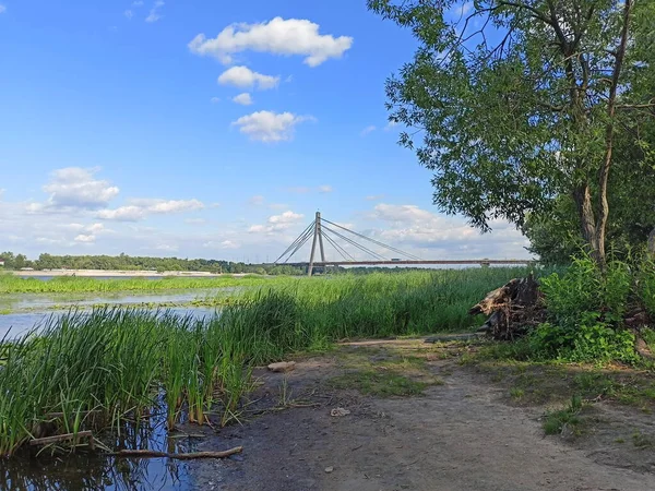 Panorama Coastal Strip Small Lake Covered Thickets Reeds Background Road — Foto de Stock