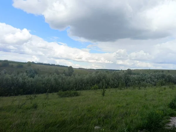 Panorama Ukrainian Steppe Covered Sparse Forests Background Blue Sky Shrouded — Foto de Stock