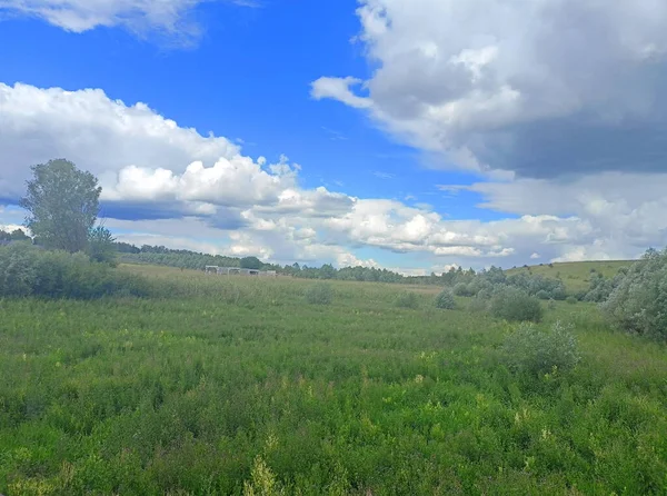 A panorama of the blue sky covered with sunlit snow-white clouds slowly floating over the thick green carpet of endless Ukrainian steppes.