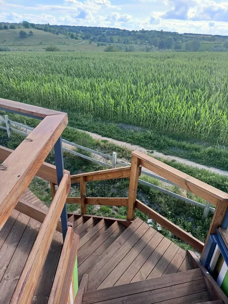 Descent from the observation deck on wooden stairs after a long period of contemplation and admiring the beauty of the Ukrainian steppes.