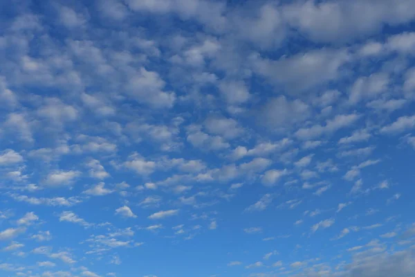 Nubes Altocumulus Fondo Azul Del Cielo — Foto de Stock