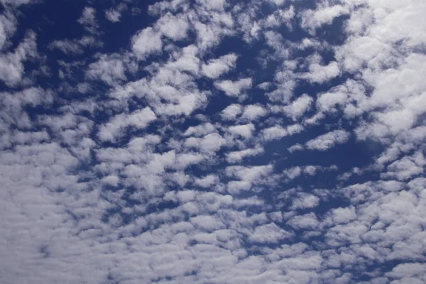 Altocumulus Wolken Und Blauer Himmel Hintergrund — Stockfoto