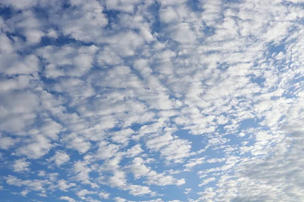 Altocumulus Wolken Und Blauer Himmel Hintergrund — Stockfoto