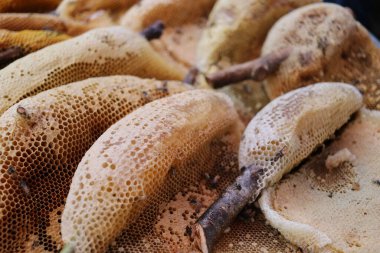 Sıraya dizilmiş bal tarakları.