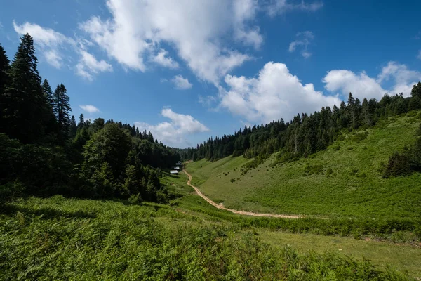 Single Lane Country Road Forest Landscape Horizontal Photo — Stock Photo, Image