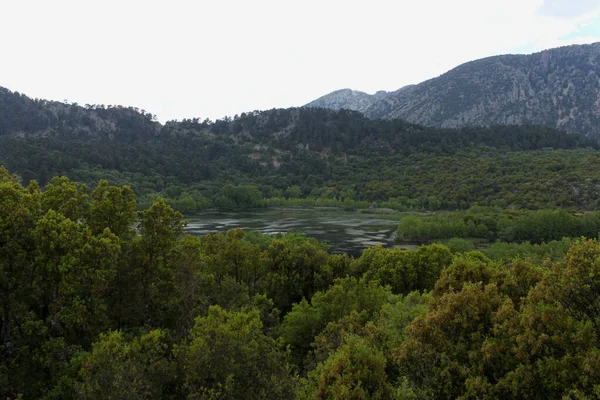 Άποψη Της Λίμνης Κοβάντα Και Καταπράσινα Δάση Στο Βάθος Τουρκία — Φωτογραφία Αρχείου