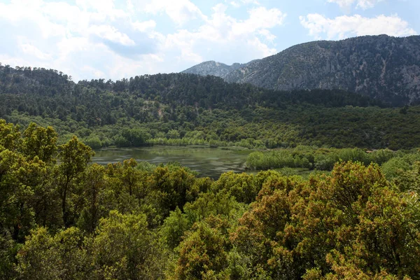 Άποψη Της Λίμνης Κοβάντα Και Του Πράσινου Δάσους Στο Βάθος — Φωτογραφία Αρχείου