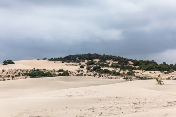 Patara sahilindeki çöl kumları 