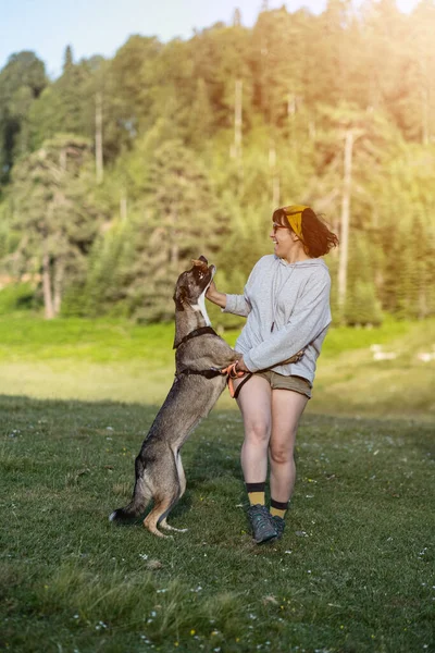 Young Woman Playing Dog Forest Young Caucasian Woman Training Her — Fotografia de Stock