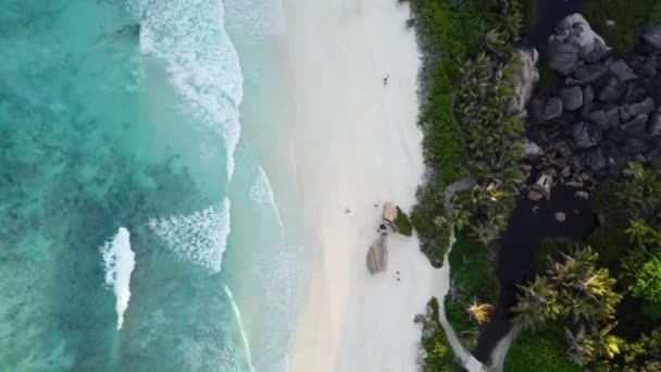 Snow-white beach with big waves and greenery — Stockvideo
