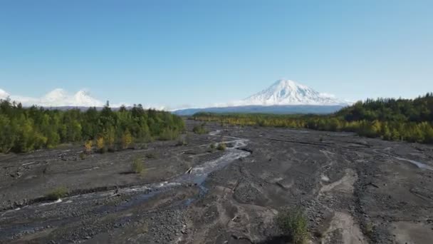 Green forest with a view of snowy volcanoes — Stockvideo