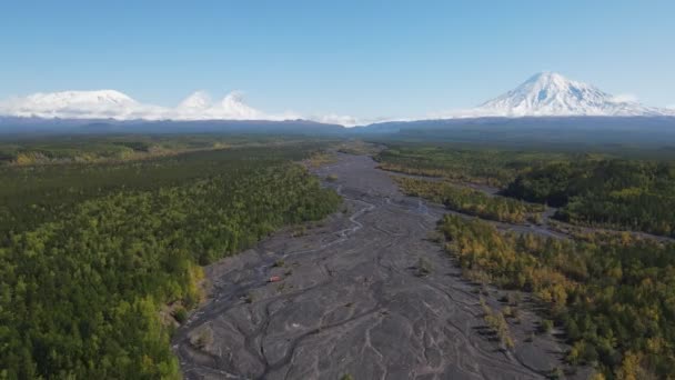 Green forest with a view of snowy volcanoes — Stockvideo