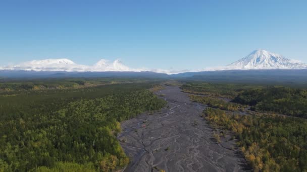 Green forest with a view of snowy volcanoes — Stock Video