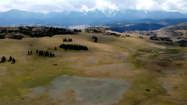 Steppe with white mountains in Altai — Stock video