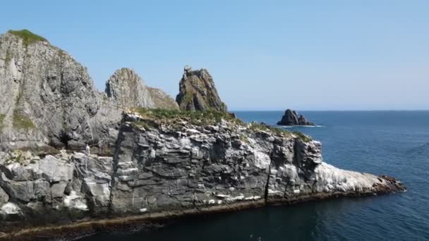 Rocas en el océano en la costa de Kamchatka — Vídeo de stock