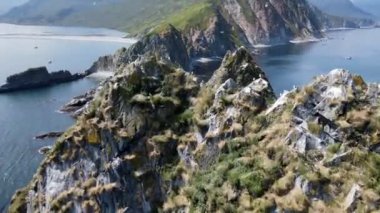 Uçan kuşlar ve kayalar